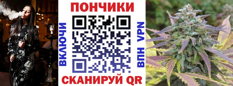 Купить где  Заволжье  Каннабис план 